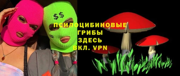 Альфа ПВП Арсеньев
